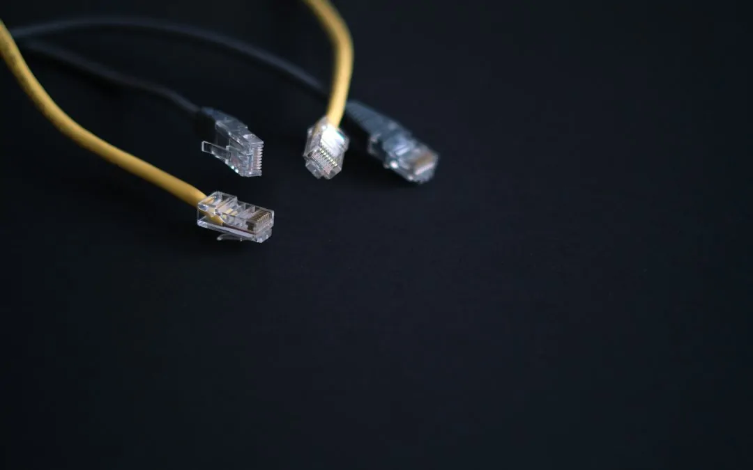 A minimalist display of Ethernet cords